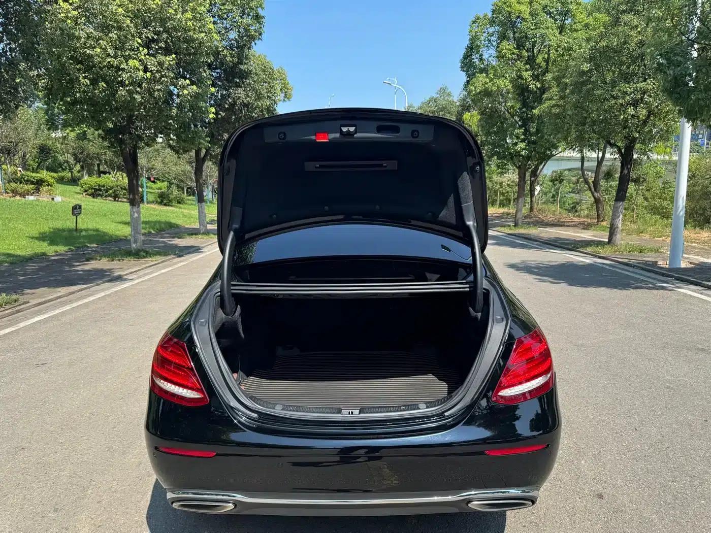 Mercedes-Benz E-Class 2019 Facelift E 300 L Fashion Model — миниатюра 10