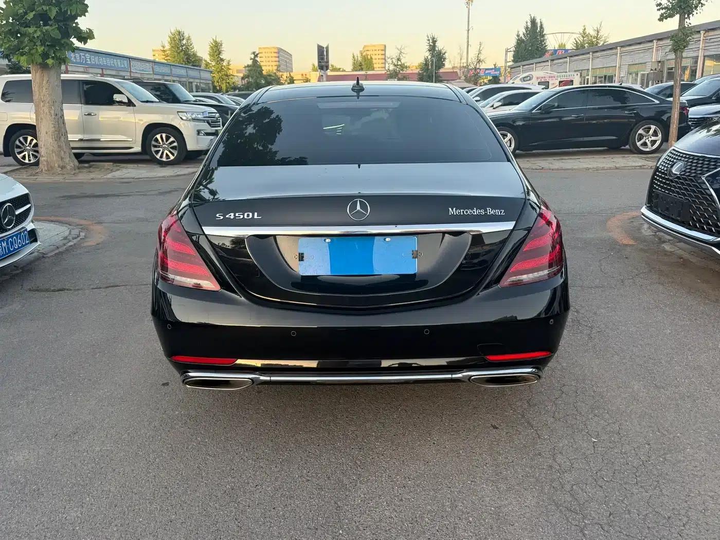 Mercedes-Benz S-Class 2020 S 350 L Business Edition (Special Edition) — миниатюра 13