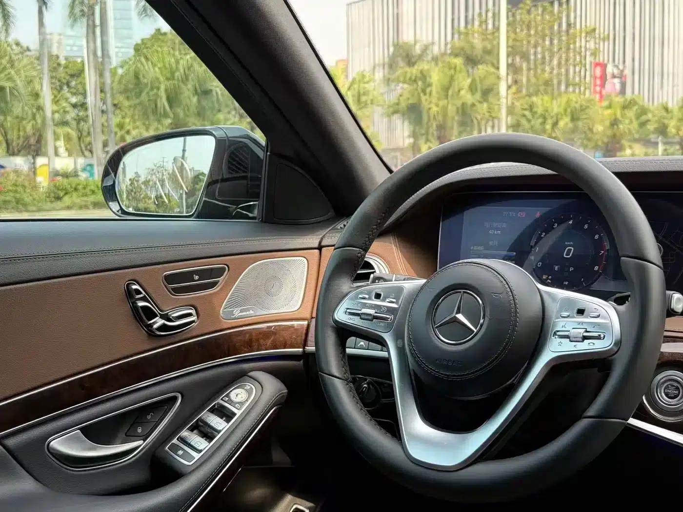 2019 Mercedes-Benz S-Class S 450 L — миниатюра 13