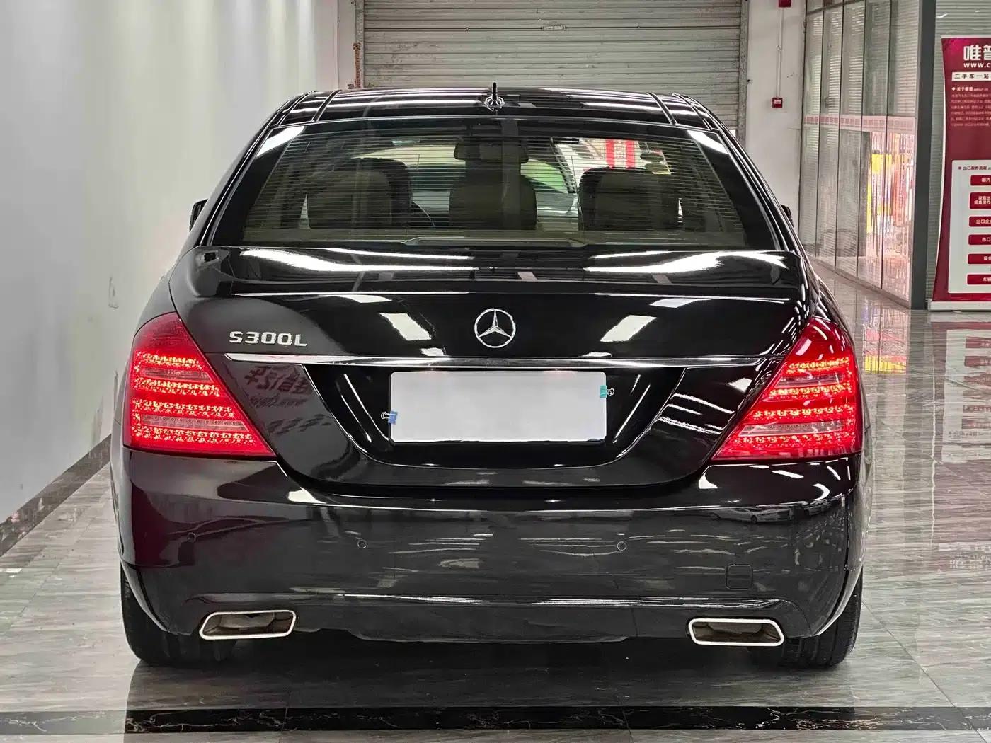 Mercedes-Benz S-Class 2010 S 300 L Business Edition — миниатюра 6