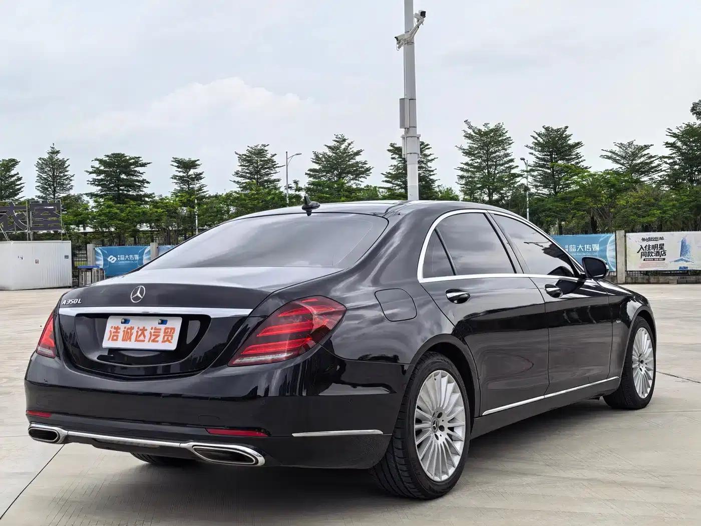 Mercedes-Benz S-Class 2020 S 350 L Business Edition (Special Edition) — миниатюра 21