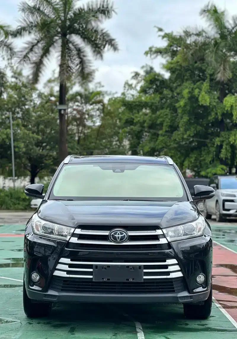 2018 Toyota Highlander 2.0T 2WD Luxury 7-seater (National V Emission Standard) — миниатюра 2
