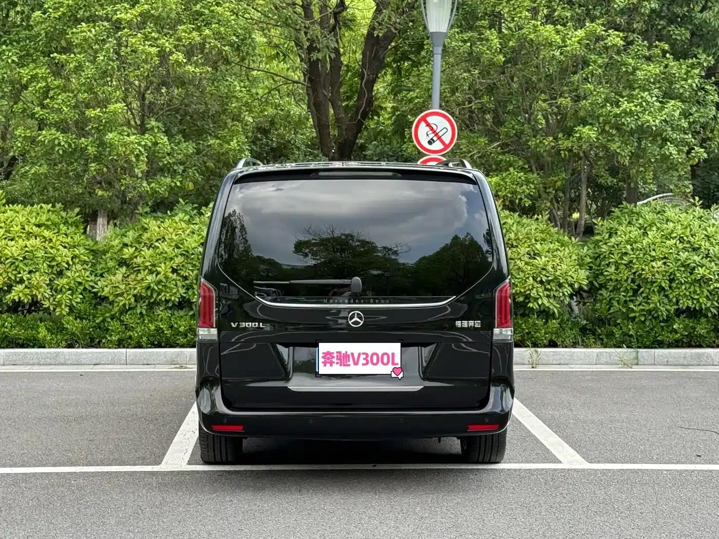 Mercedes-Benz V-Class 2024 V 300 L Long Wheelbase Luxury Edition — миниатюра 6