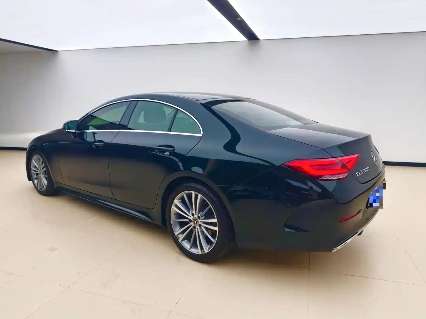 Mercedes-Benz CLS 2022 CLS 300 Dynamic — миниатюра 13