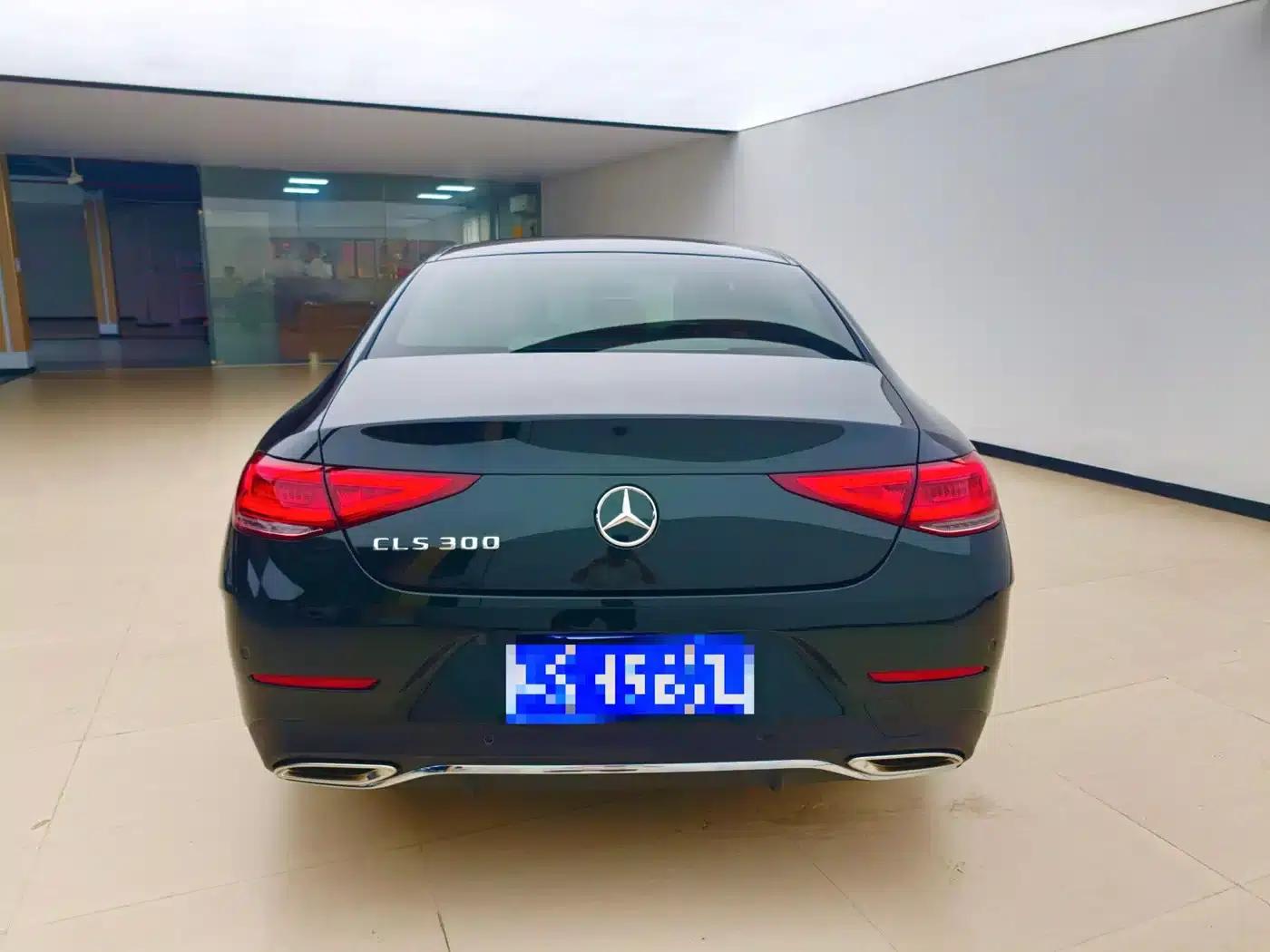 Mercedes-Benz CLS 2022 CLS 300 Dynamic — миниатюра 14