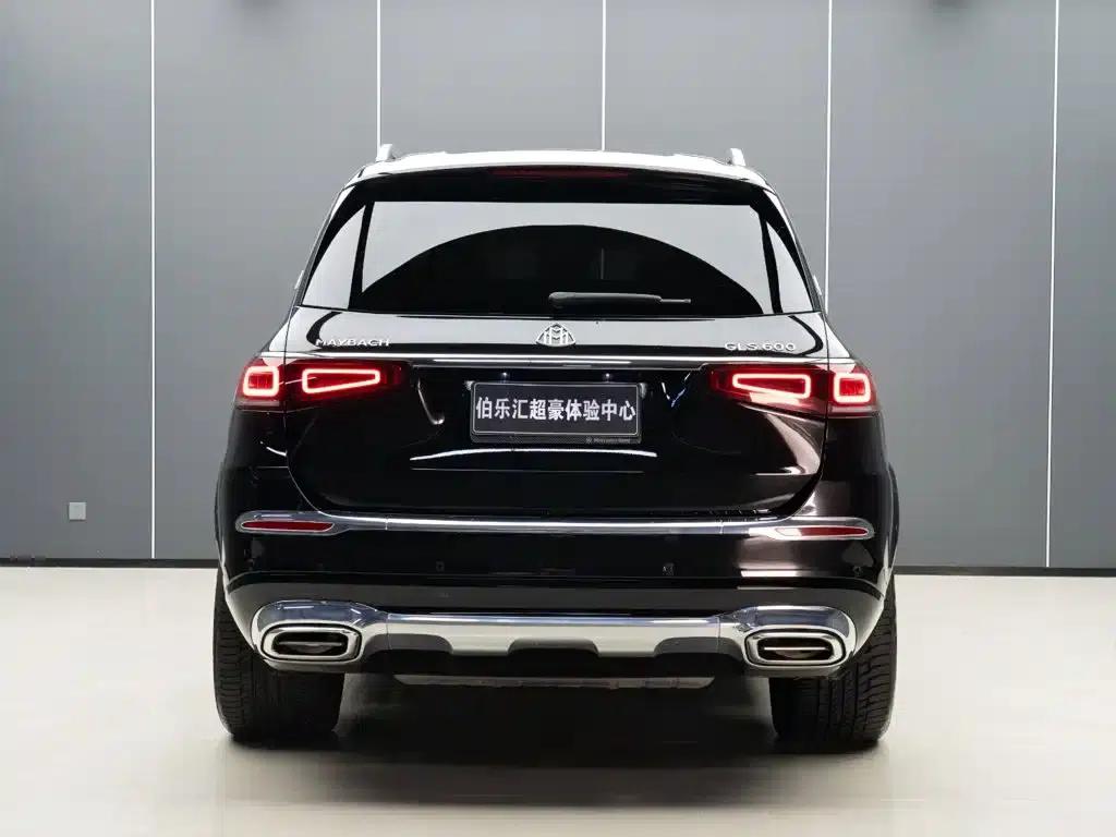 2022 Maybach GLS 600 4MATIC Elegant Edition — миниатюра 7