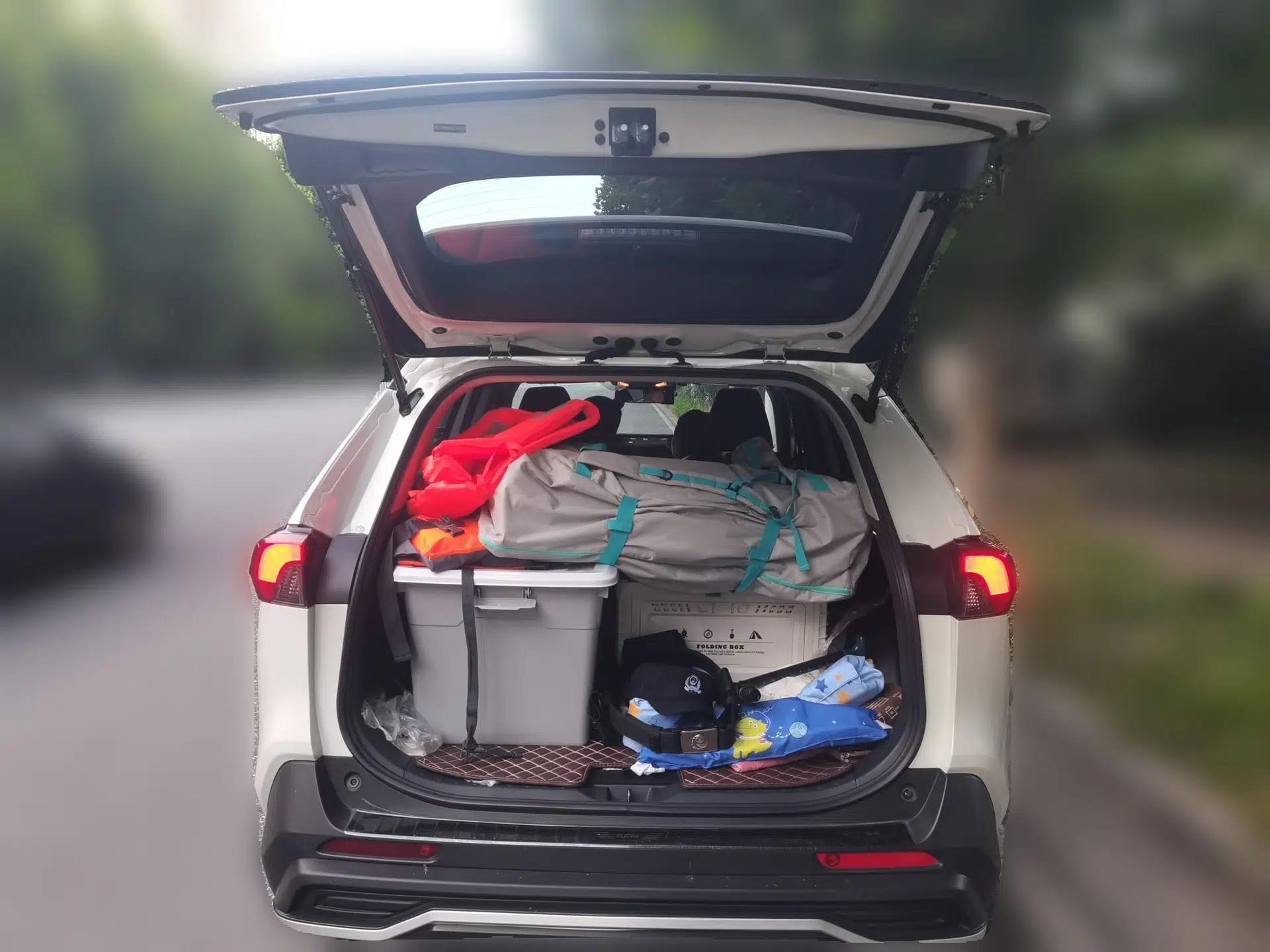 Toyota RAV4 2020 Dual-Engine 2.5L E-CVT Two-Wheel Drive Elite Edition — миниатюра 19