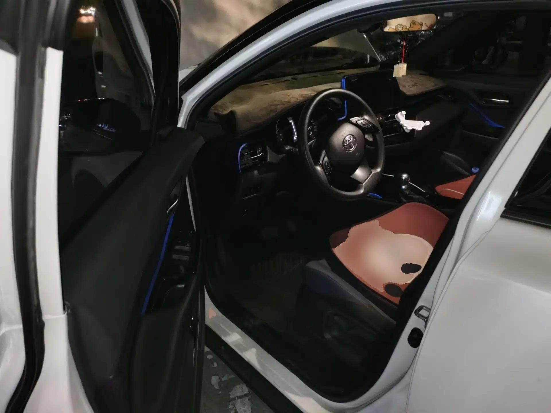 Toyota C-HR 2018 2.0L Leading with Sunroof China V Standard — миниатюра 16