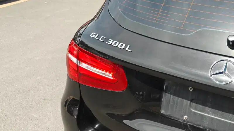 2019 Mercedes-Benz GLC 300 L 4MATIC Dynamic — миниатюра 8