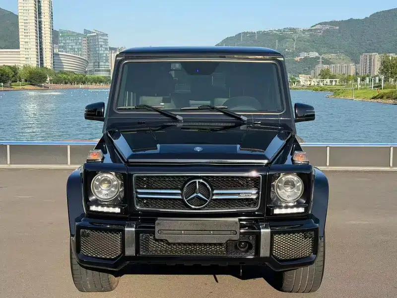 2016 Mercedes-Benz G-Class AMG 63 — миниатюра 2