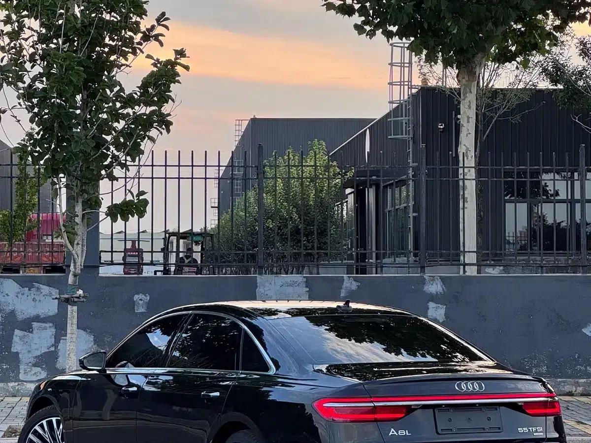 Audi A8 2019 Plus A8L 55 TFSI quattro Luxury — миниатюра 9