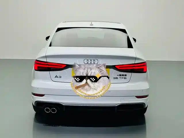 Audi A3 2018 30th Anniversary Edition Limousine 35 TFSI Sport — миниатюра 16