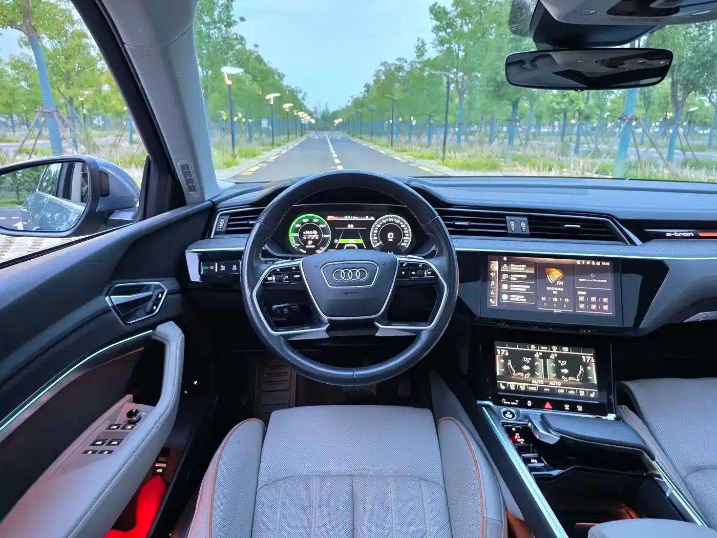 Audi e-tron 2021 50 quattro Premium — миниатюра 14
