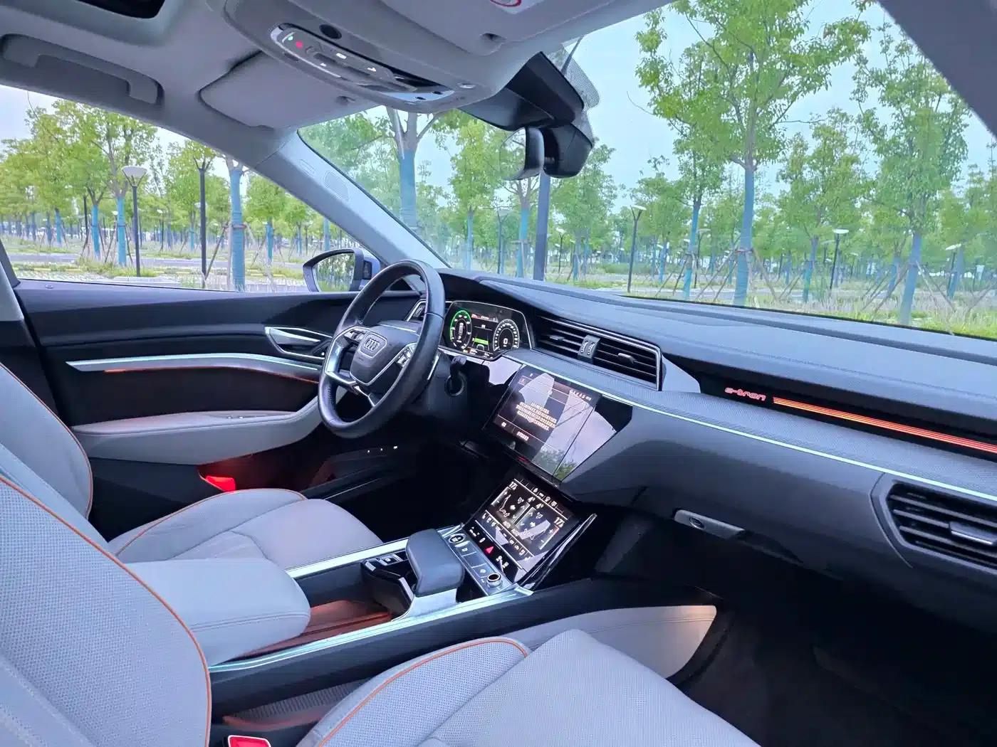 Audi e-tron 2021 50 quattro Premium — миниатюра 20