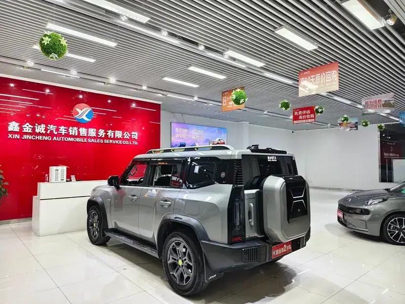 Jetour Traveler 2024 2.0TD 4WD Crossover PRO+ Entertainment Edition — миниатюра 5
