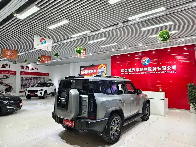 Jetour Traveler 2024 2.0TD 4WD Crossover PRO+ Entertainment Edition — миниатюра 7