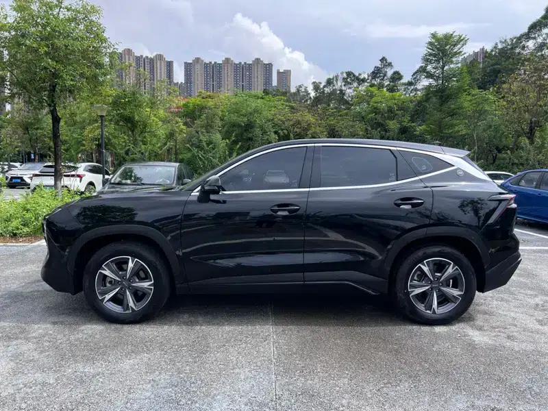 Jetour Dasheng 2024 1.5T DCT Star Shine — миниатюра 4