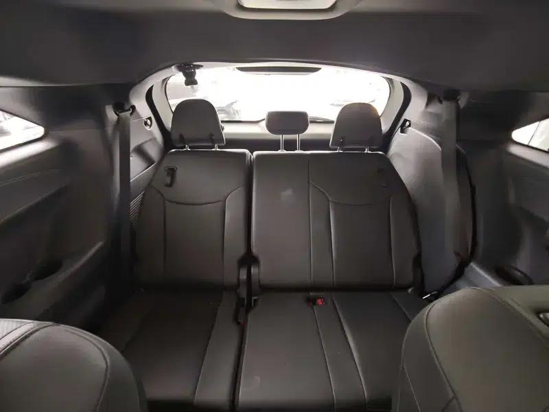 2023 Grevia Intelligent Hybrid Dual Engine 2.5L Premium VIP — миниатюра 13