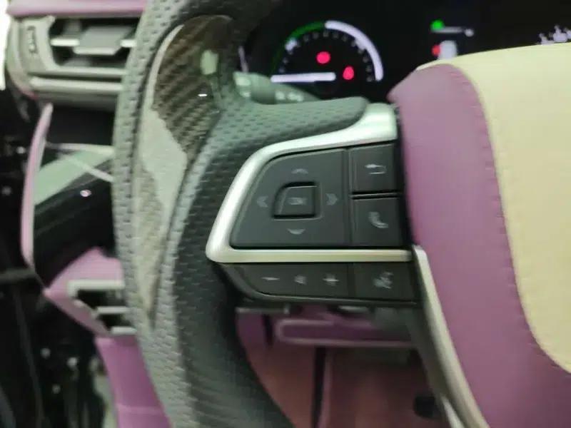 2024 Grevia Intelligent Hybrid Dual Engine 2.5L Two-Wheel Drive Comfort Edition — миниатюра 16