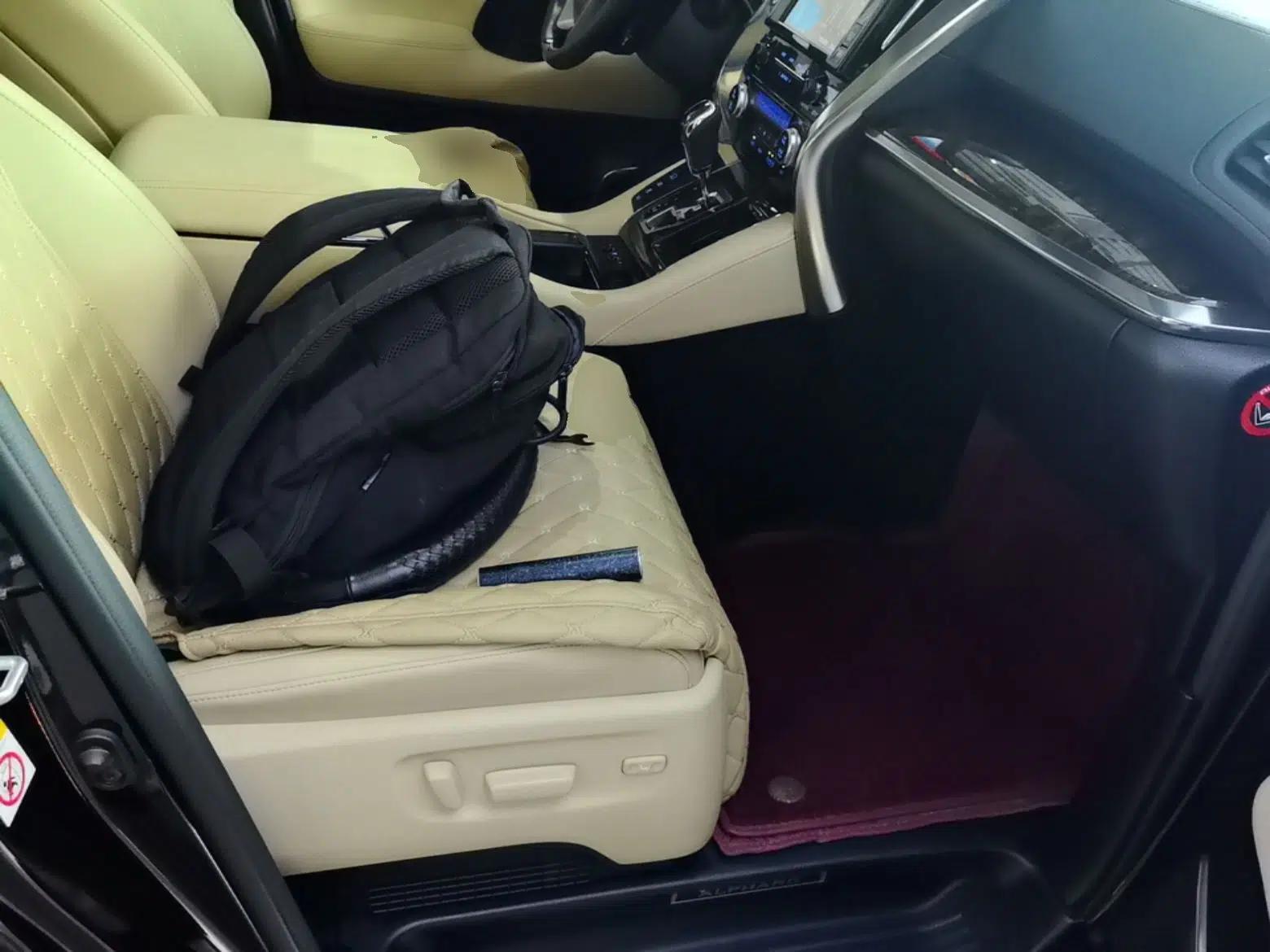 Toyota Alphard 2019 Dual-Engine 2.5L Luxury Edition — миниатюра 24