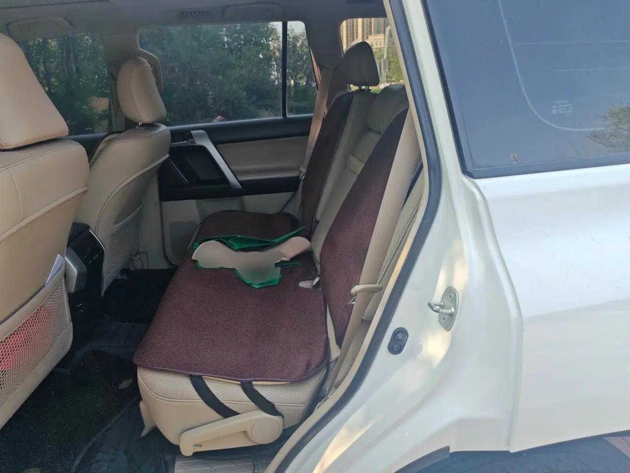 Toyota Prado 2010 4.0L Automatic TX-L — миниатюра 17