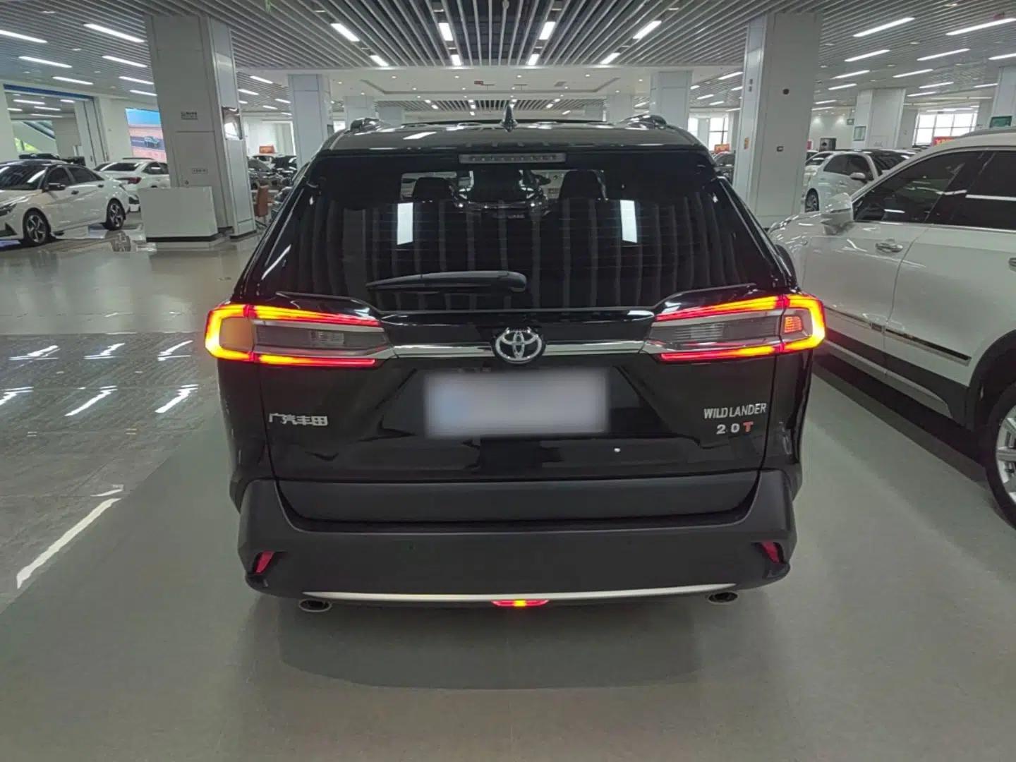 Toyota Wildlander 2023 2.0L CVT Two-Wheel Drive Luxury PLUS Edition — миниатюра 5