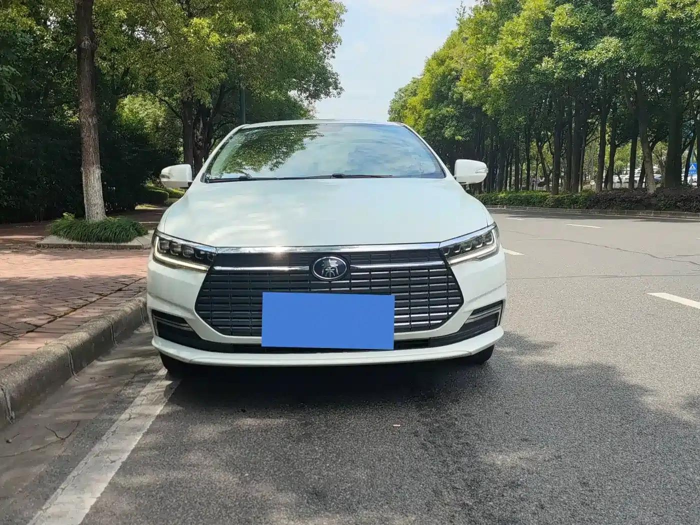 Qin New Energy 2019 Long Range Premium Edition — миниатюра 2