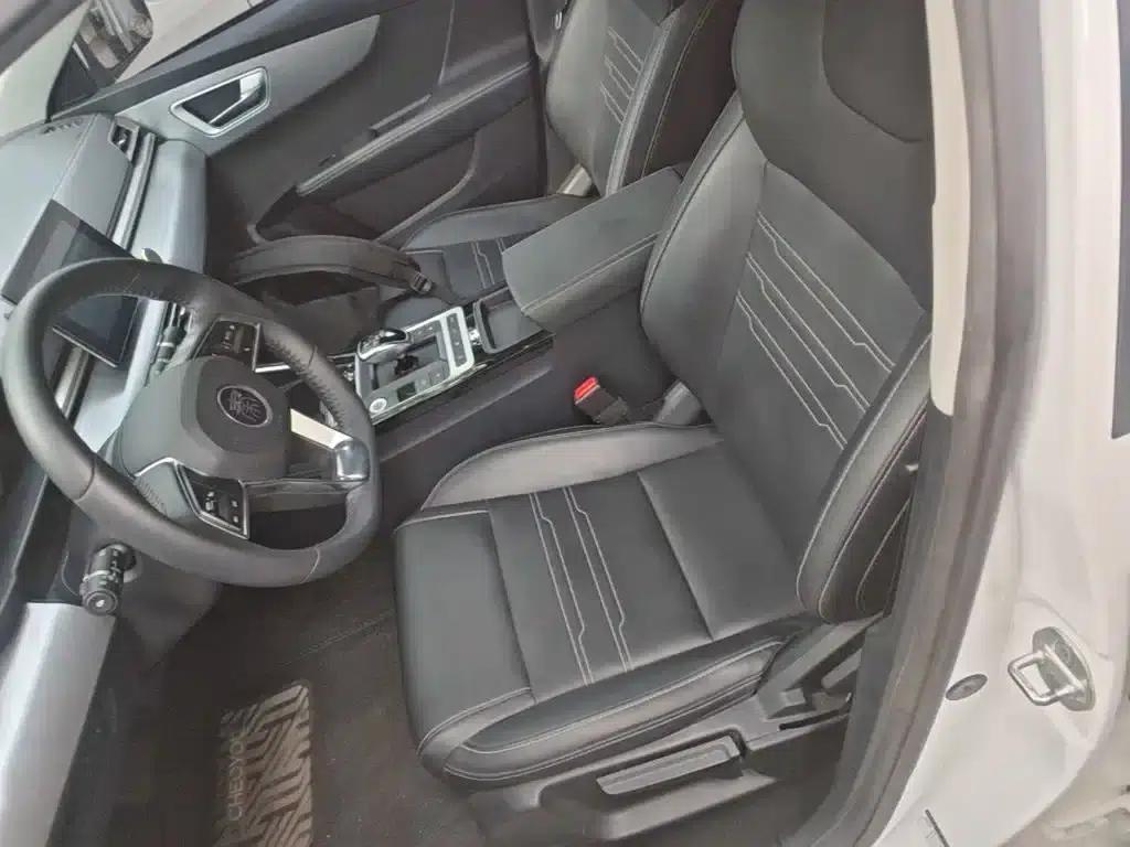 Qin New Energy 2019 Long Range Luxury Edition — миниатюра 15