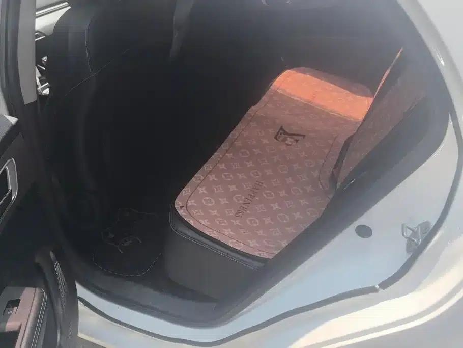 Qin 2019 1.5L Automatic Deluxe Edition — миниатюра 11
