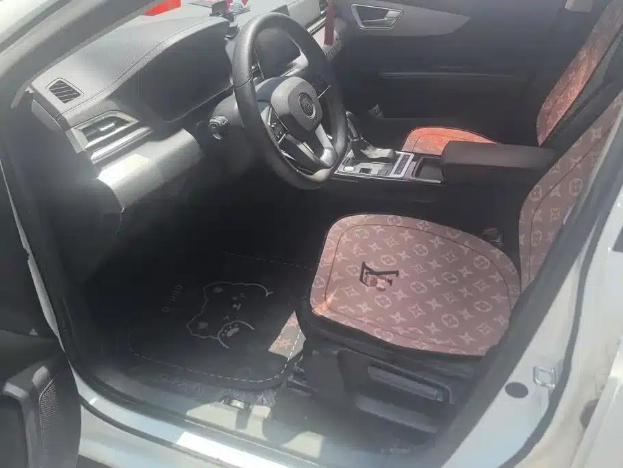 Qin 2019 1.5L Automatic Deluxe Edition — миниатюра 9