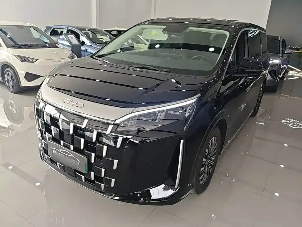 BYD M9 2025 1060 Navigator Edition — миниатюра 2