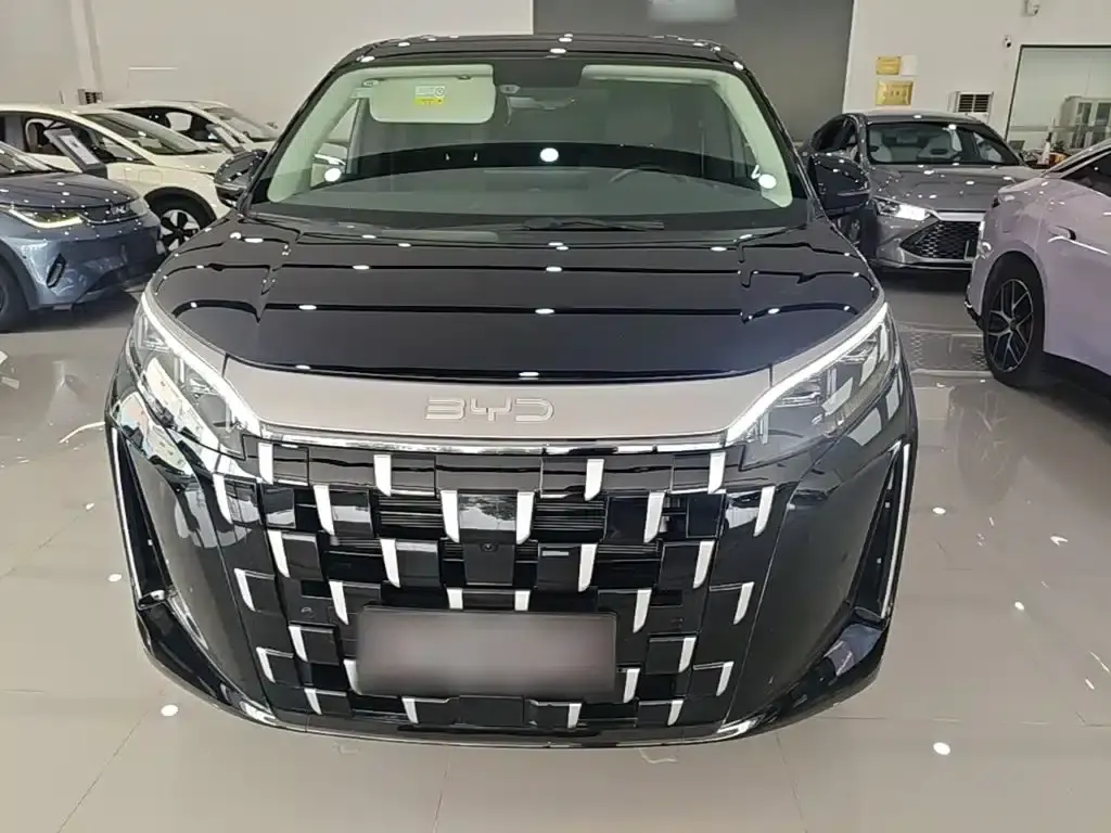 BYD M9 2025 1060 Navigator Edition — миниатюра 3