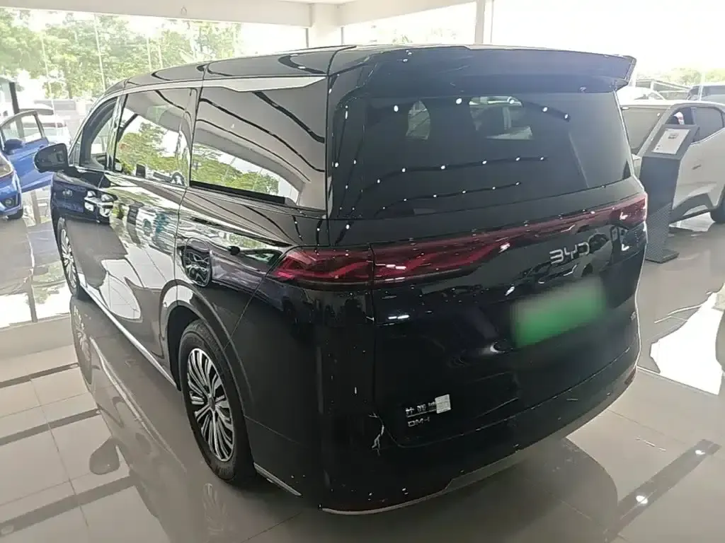 BYD M9 2025 1060 Navigator Edition — миниатюра 5