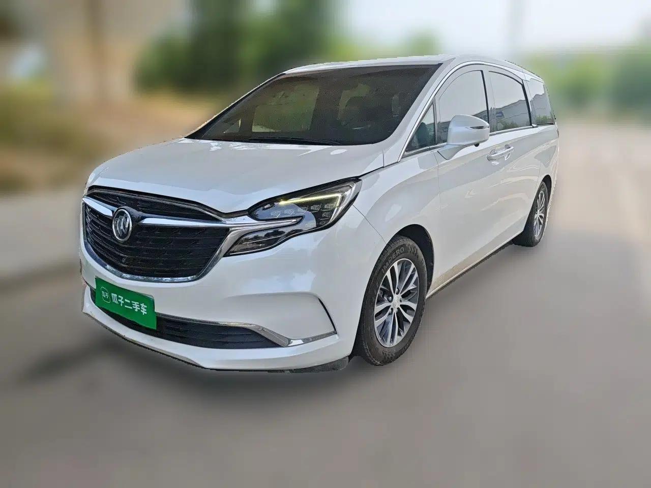 Buick GL8 2021 ES Landtrek 653T Comfort Edition — миниатюра 1