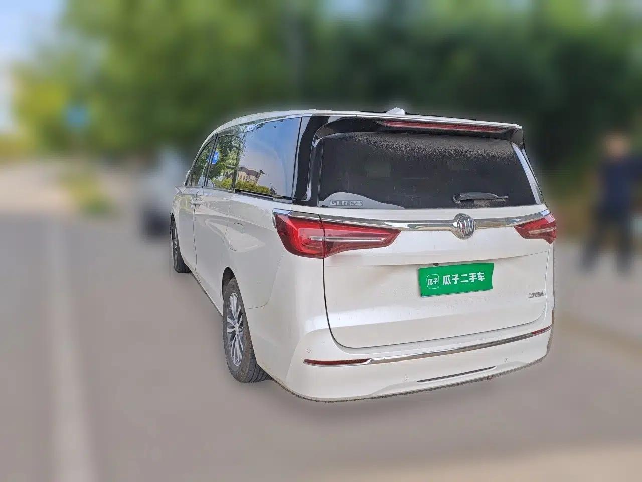 Buick GL8 2021 ES Landtrek 653T Comfort Edition — миниатюра 4