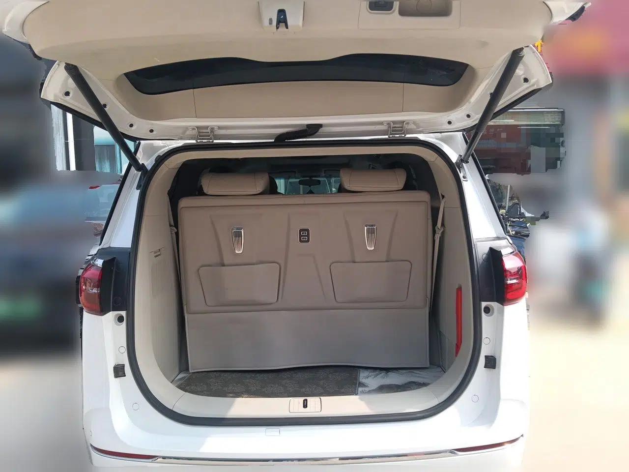 Buick GL8 2020 ES Land Cruiser 653T Comfort Edition — миниатюра 19