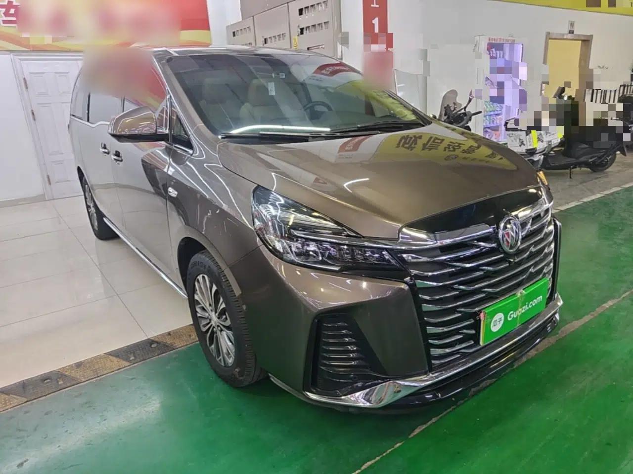 Buick GL8 2023 Land Executive Class Deluxe Model — миниатюра 12