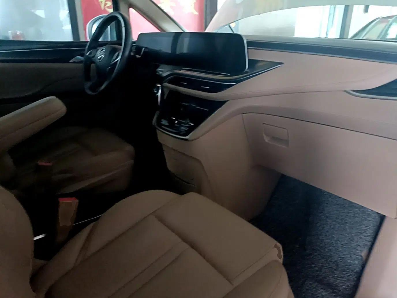 Buick GL8 2021 ES Land Cruiser 653T Luxury Edition — миниатюра 12