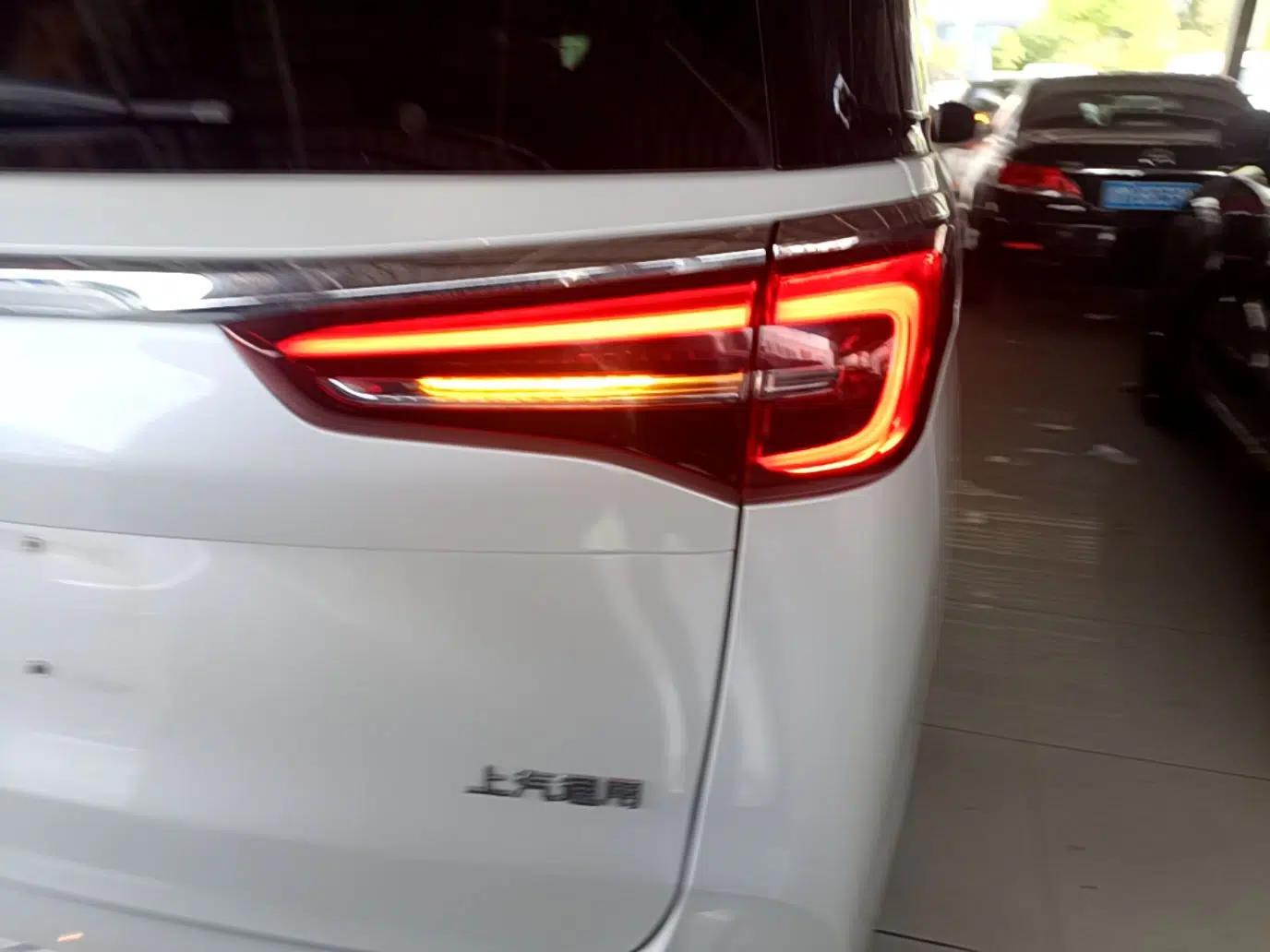Buick GL8 2021 ES Land Cruiser 653T Luxury Edition — миниатюра 9