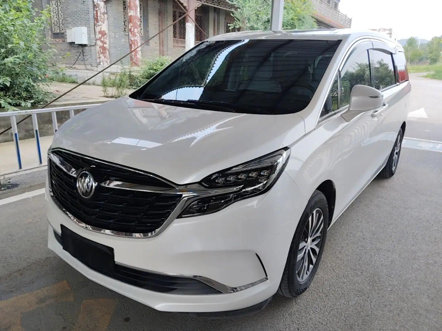 Buick GL8 2021 ES Landtrek 653T Comfort Edition — миниатюра 1