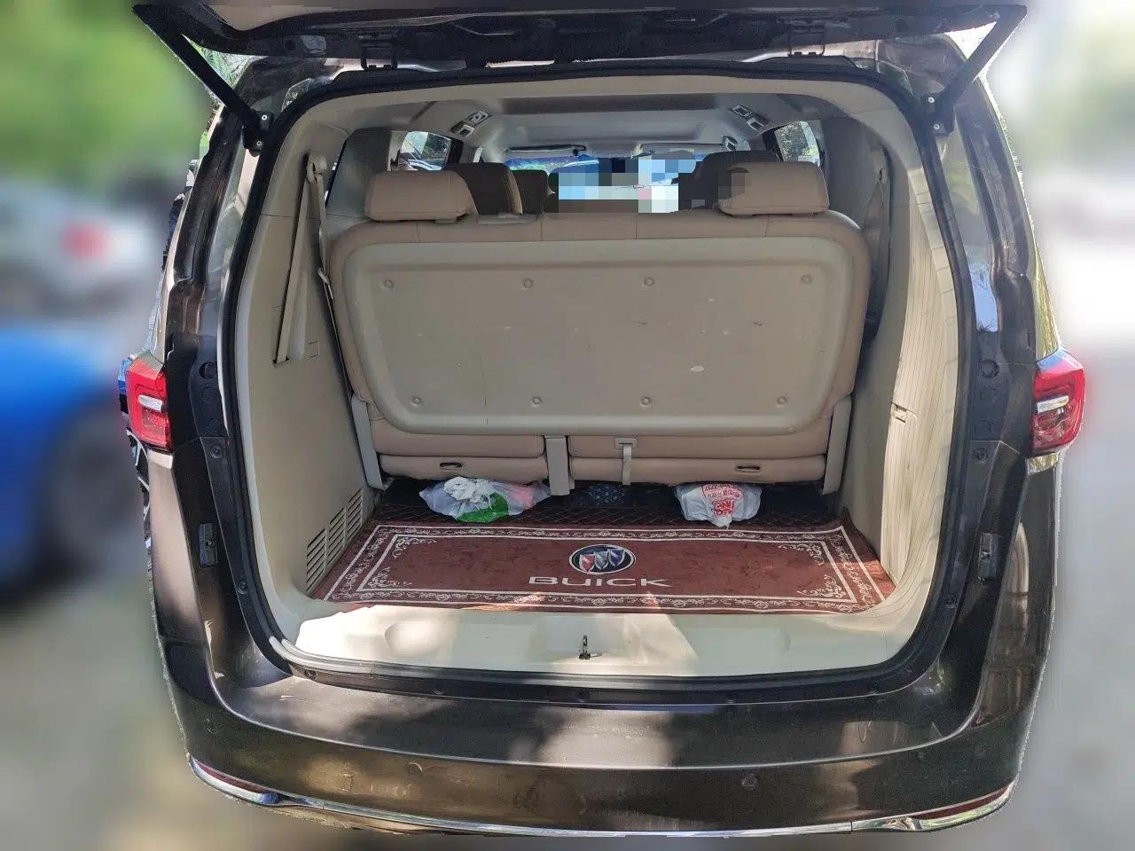 Buick GL8 2023 Land Executive Class Comfort Model — миниатюра 19