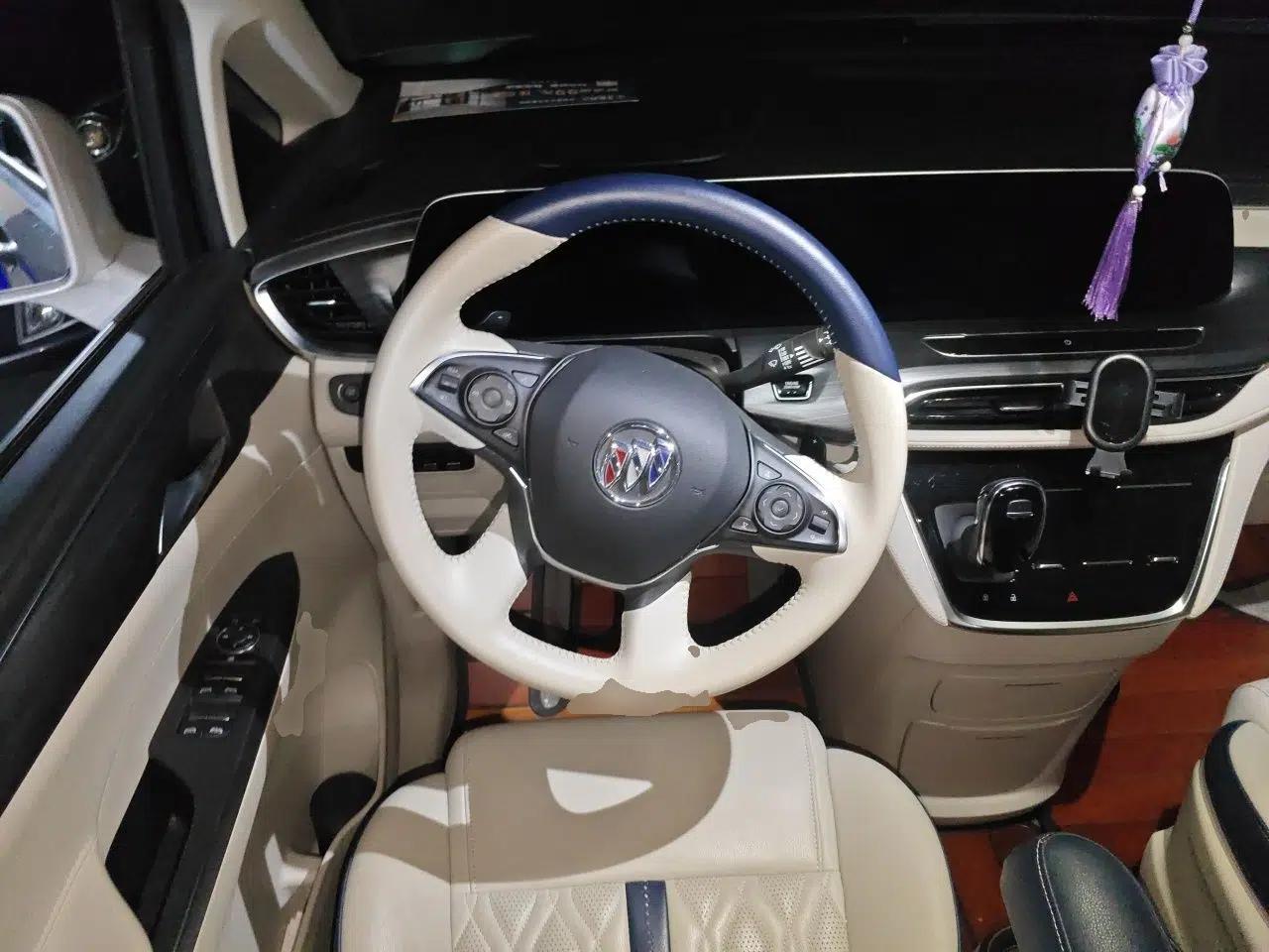 Buick GL8 2022 ES Landtrek 653T Comfort Edition — миниатюра 10
