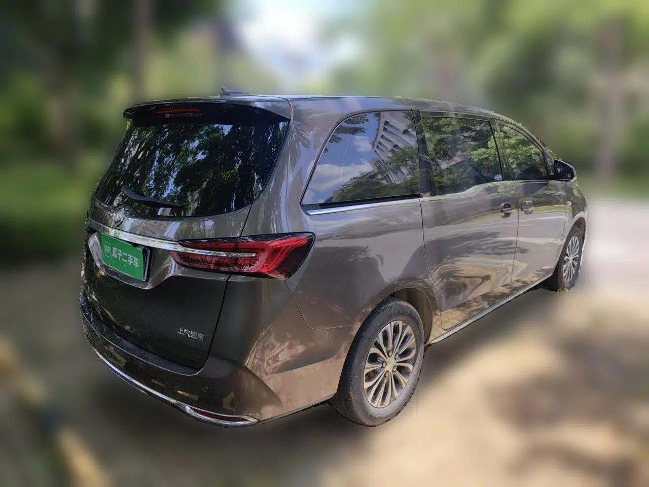 Buick GL8 2023 Land Executive Class Comfort Model — миниатюра 6