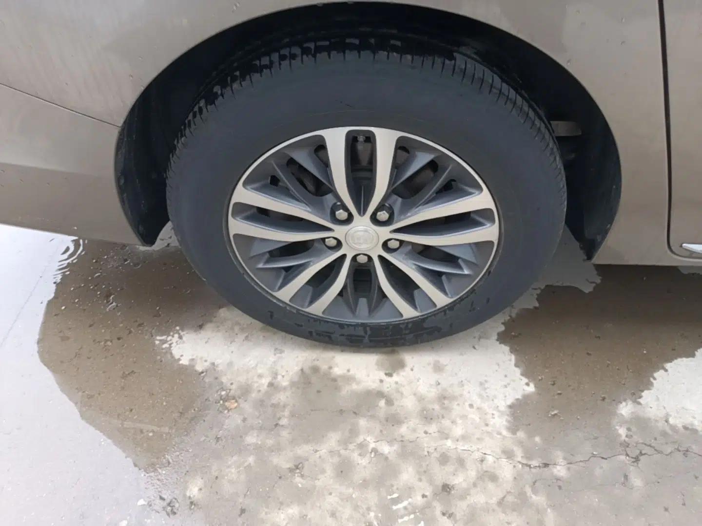 Buick GL8 2023 ES Lu Zun Deluxe Model — миниатюра 11