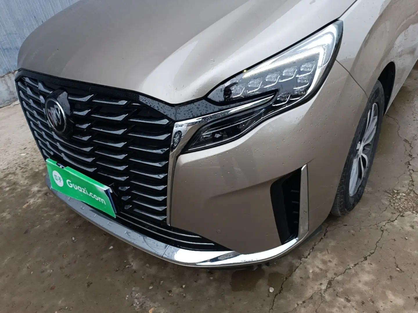 Buick GL8 2023 ES Lu Zun Deluxe Model — миниатюра 8