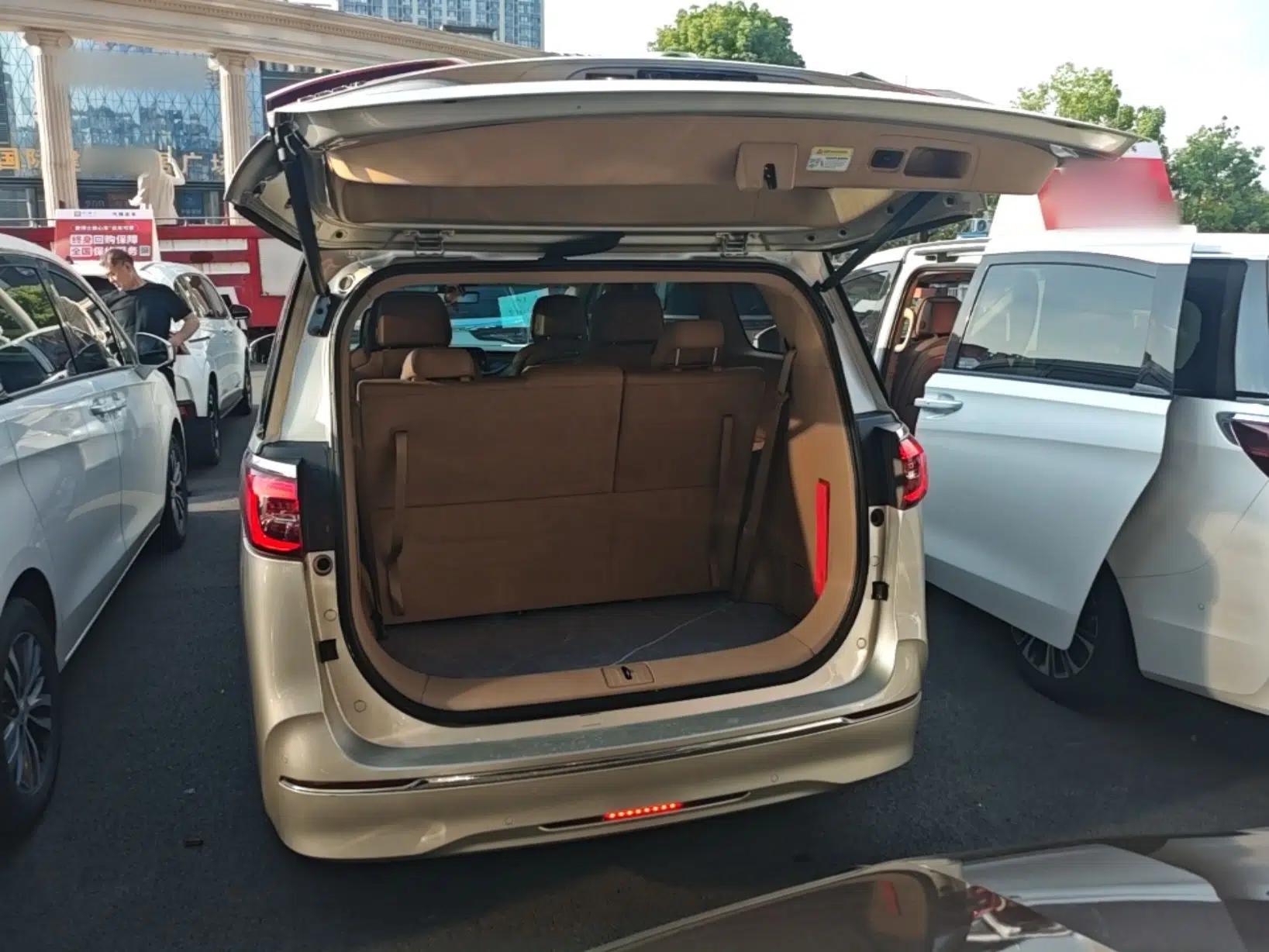 Buick GL8 2021 ES Land Cruiser 653T Luxury Edition — миниатюра 22