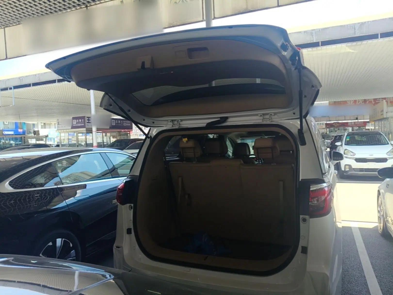 Buick GL8 2020 ES Land Cruiser 653T Luxury Edition — миниатюра 22