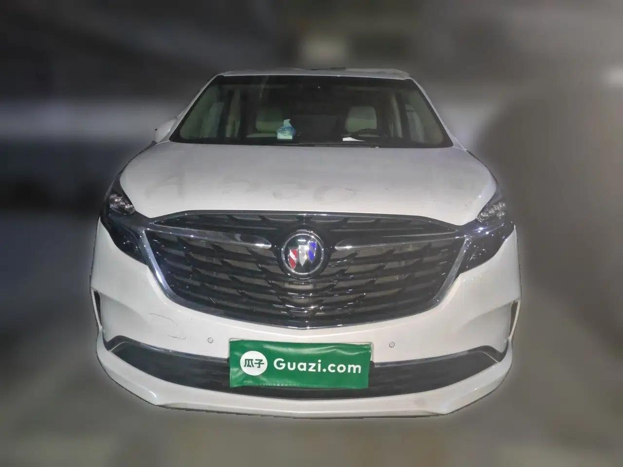 Buick GL8 2022 ES Landtrek 653T Luxury Edition — миниатюра 2