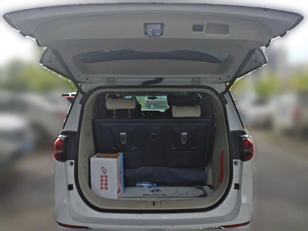 Buick GL8 2022 ES Landtrek 653T Comfort Edition — миниатюра 19