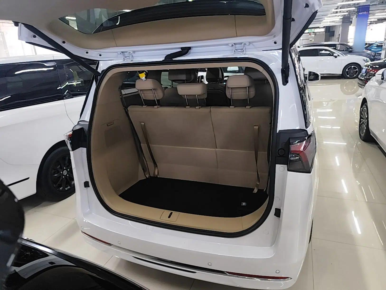 Buick GL8 New Energy 2025 Lu Shang Luxury Edition 7-Seater — миниатюра 22